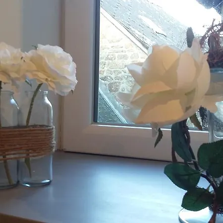 L'orchidee