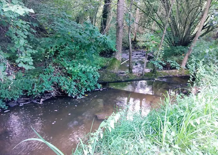 Casa de Férias L'orchidee Lassay-les-Chateaux