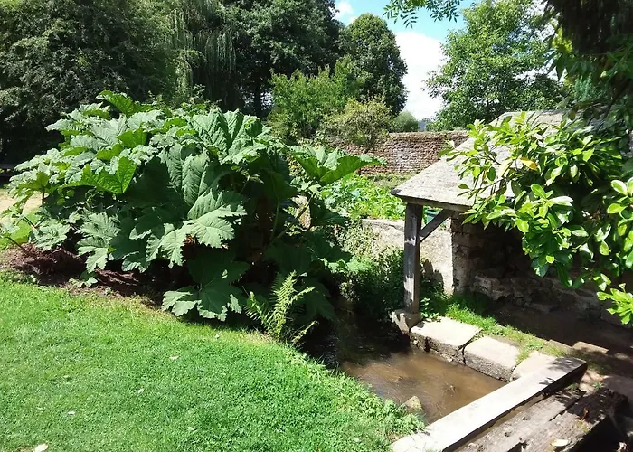 L'orchidee Lassay-les-Chateaux