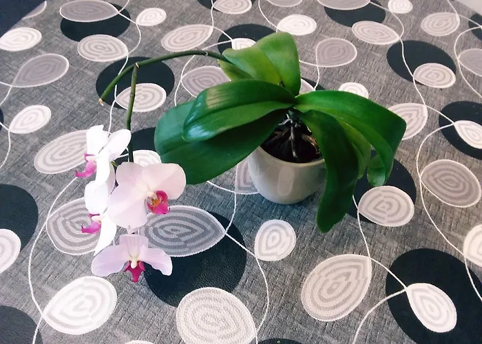 Casa de Férias L'orchidee *